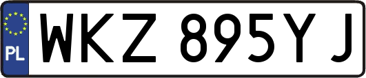 WKZ895YJ