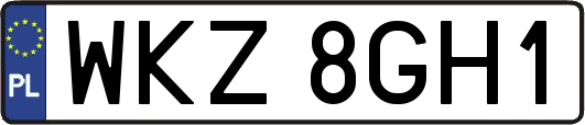 WKZ8GH1