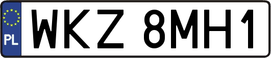 WKZ8MH1