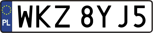 WKZ8YJ5