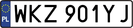 WKZ901YJ