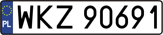WKZ90691