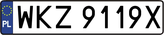 WKZ9119X