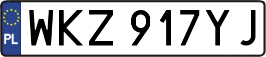 WKZ917YJ