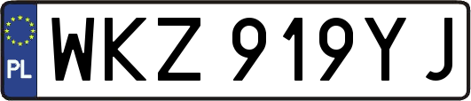 WKZ919YJ