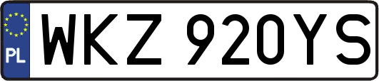 WKZ920YS