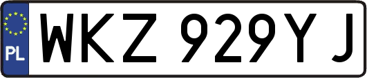 WKZ929YJ