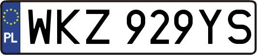 WKZ929YS