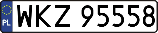 WKZ95558