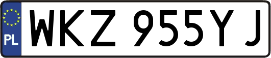 WKZ955YJ