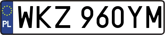 WKZ960YM