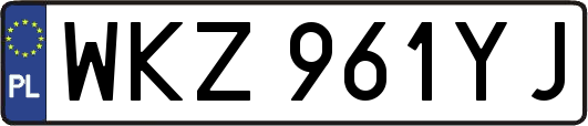 WKZ961YJ