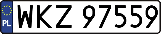 WKZ97559