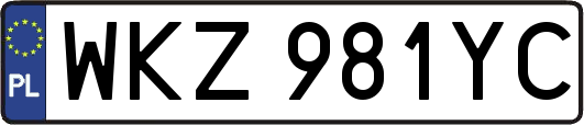 WKZ981YC