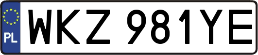 WKZ981YE