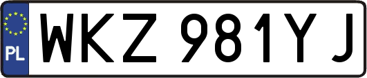 WKZ981YJ