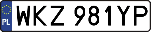 WKZ981YP