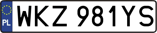 WKZ981YS