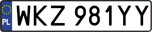 WKZ981YY