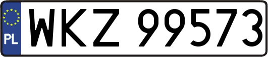 WKZ99573