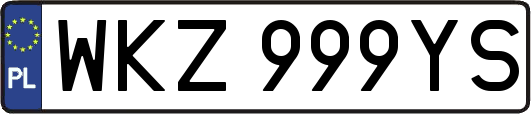 WKZ999YS