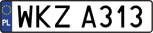 WKZA313