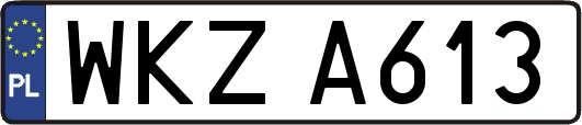WKZA613