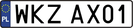 WKZAX01