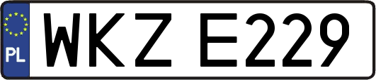 WKZE229