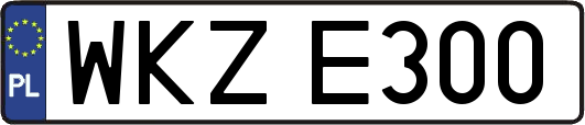 WKZE300