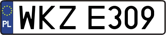 WKZE309