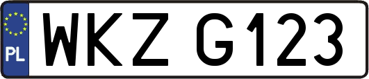 WKZG123