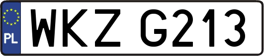 WKZG213