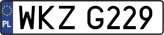 WKZG229