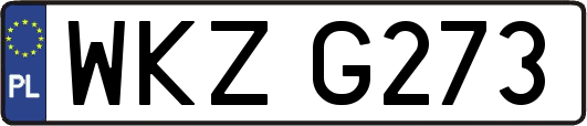 WKZG273