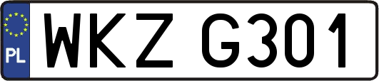 WKZG301