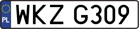 WKZG309