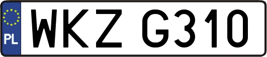 WKZG310