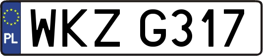 WKZG317