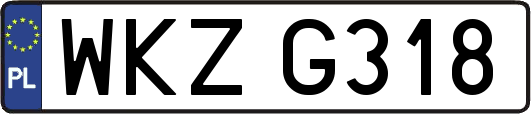 WKZG318