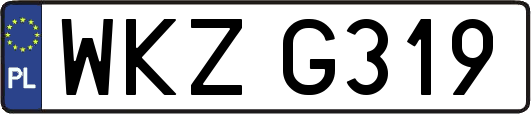 WKZG319