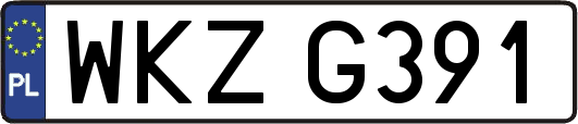 WKZG391