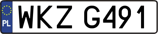 WKZG491