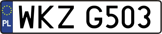 WKZG503