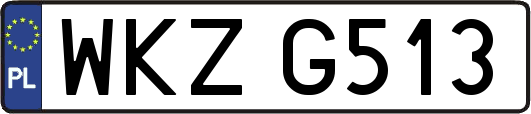 WKZG513