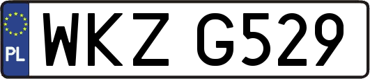 WKZG529