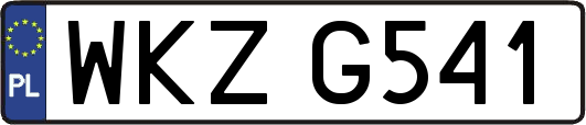WKZG541