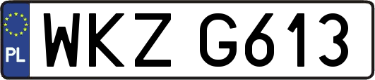 WKZG613