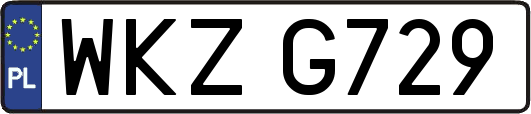 WKZG729