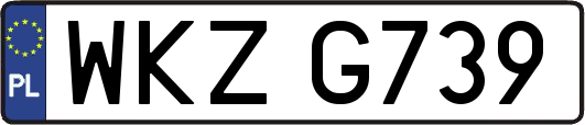 WKZG739